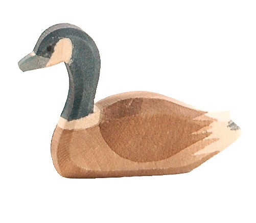 Ostheimer Kanadagans schwimm 22703